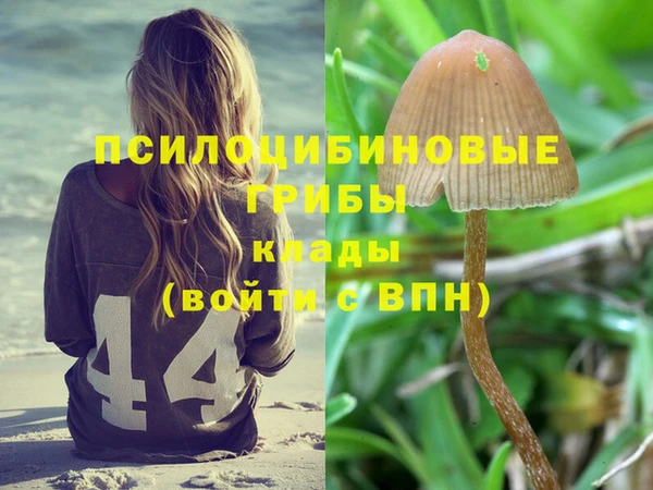 марки lsd Аркадак